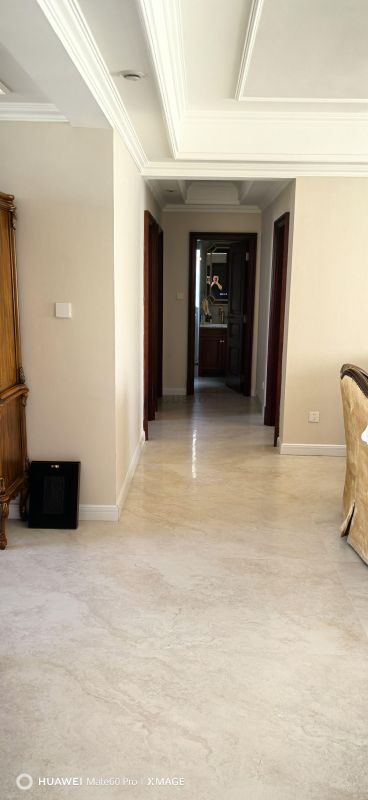 西安案例分享 法国洞石 YB189J645